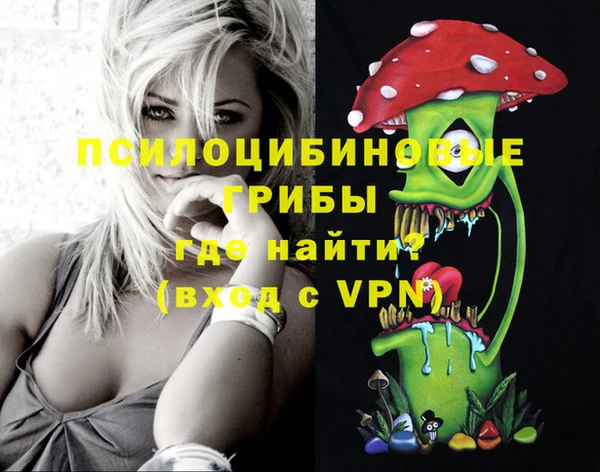 прущие грибы Алексин