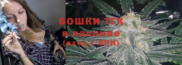 прущие грибы Алексин