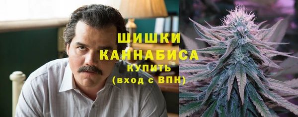 прущие грибы Алексин