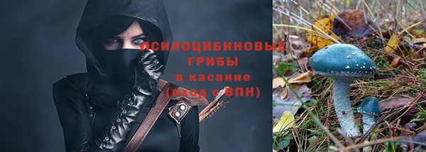 прущие грибы Алексин