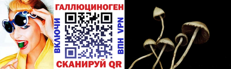сайты даркнета как зайти  Барабинск  Галлюциногенные грибы MAGIC MUSHROOMS  где купить наркоту 