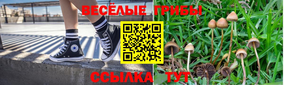 Галлюциногенные грибы ЛСД Барабинск